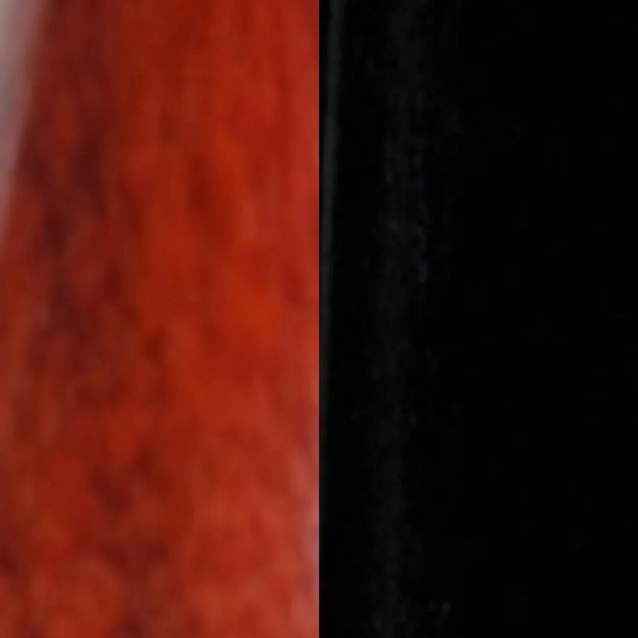 Genuine Ebony and Blood Rosewood - Image 2