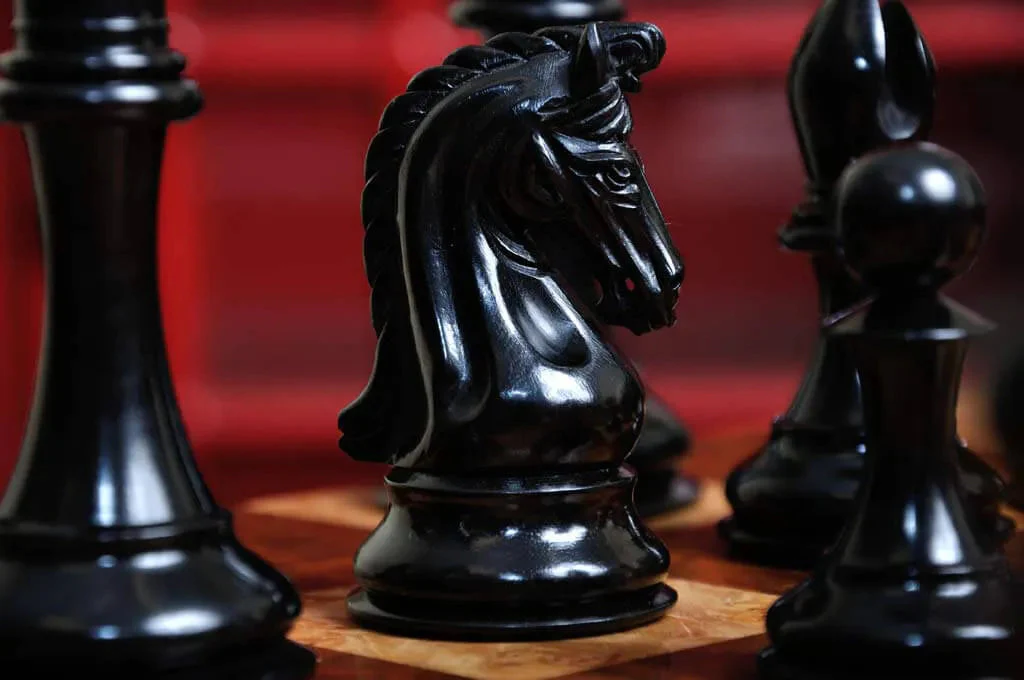 Genuine Ebony and Natural Boxwood - Image 13