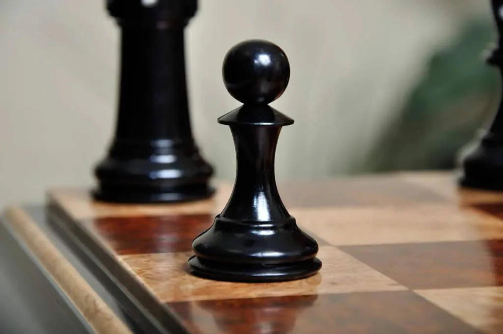 Genuine Ebony and Natural Boxwood - Image 9
