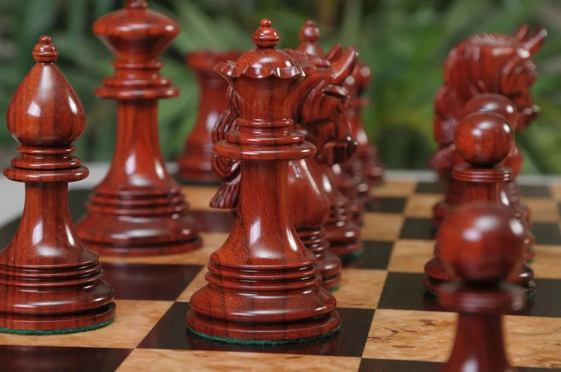 Blood Rosewood and Natural Boxwood - Image 9
