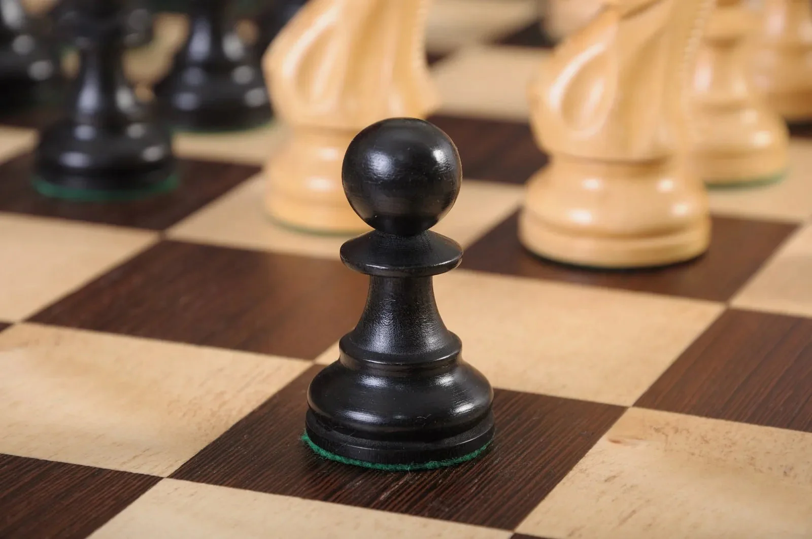 Ebonized Boxwood and Natural Boxwood - Image 6