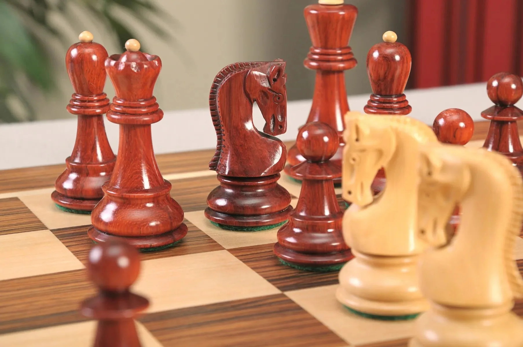 Blood Rosewood and Natural Boxwood - Image 12