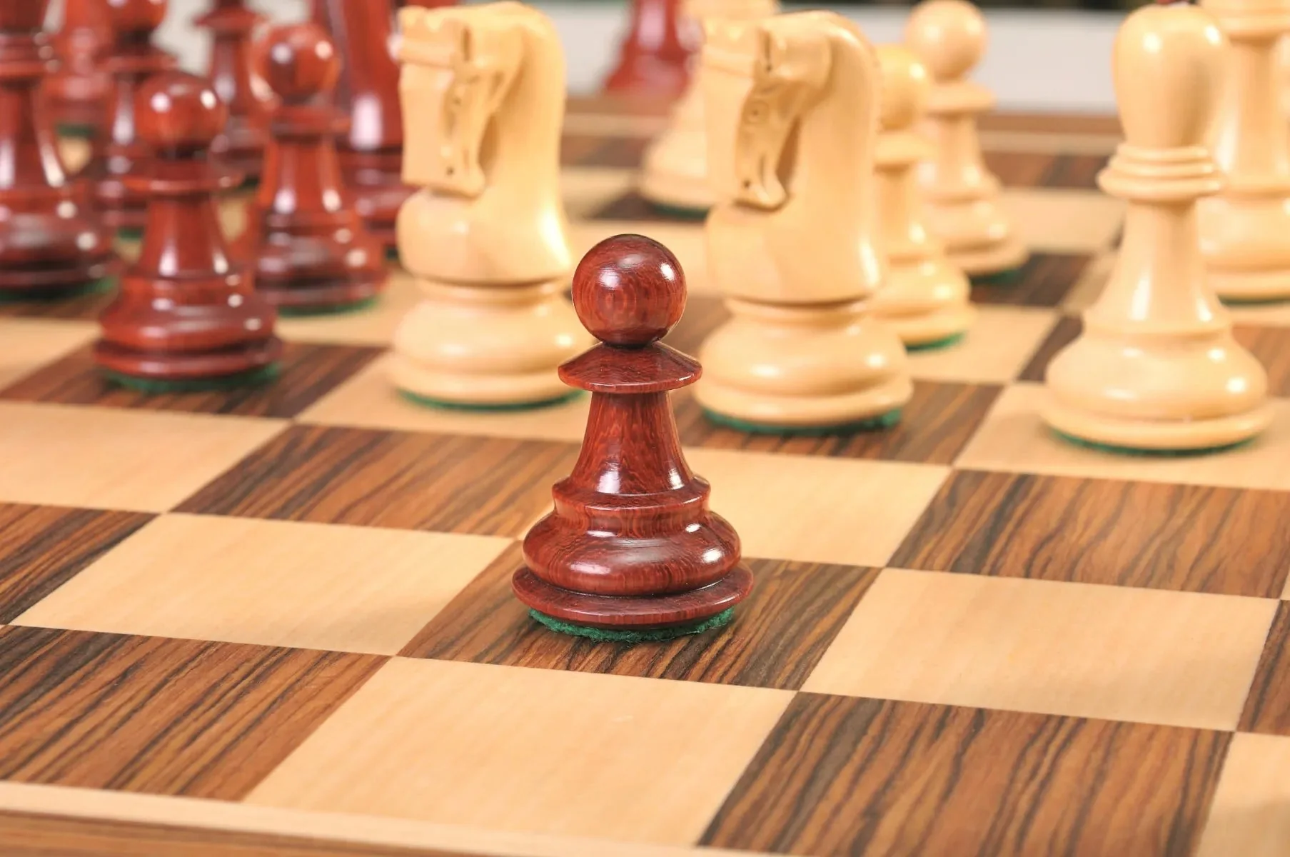 Blood Rosewood and Natural Boxwood - Image 14
