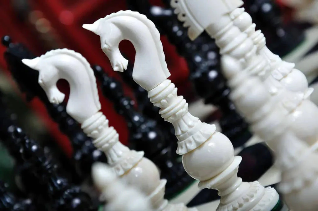 Black & Natural Bone - Image 12