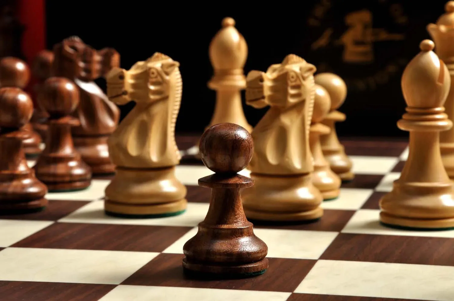 The Wild Knight Series Chess Set, Box, & Board Combination - Image 11