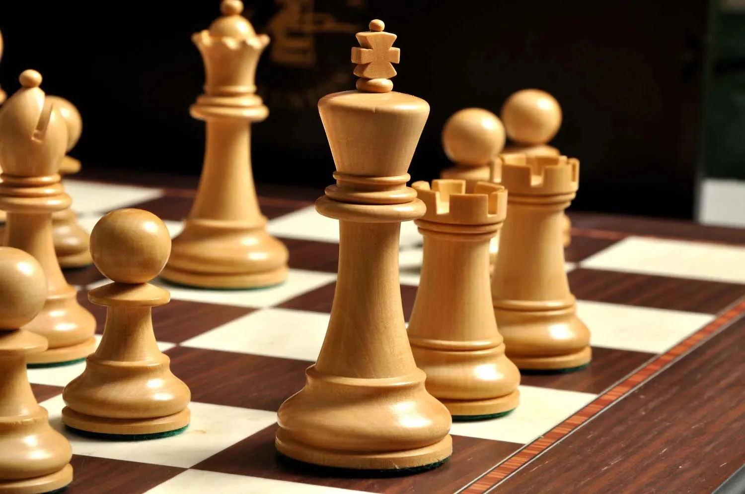 The Wild Knight Series Chess Set, Box, & Board Combination - Image 17
