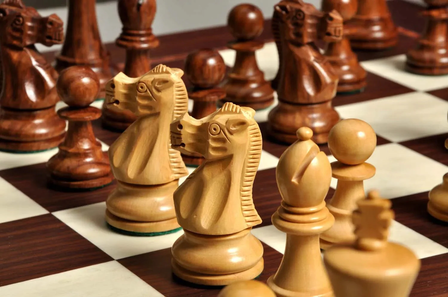 The Wild Knight Series Chess Set, Box, & Board Combination - Image 18