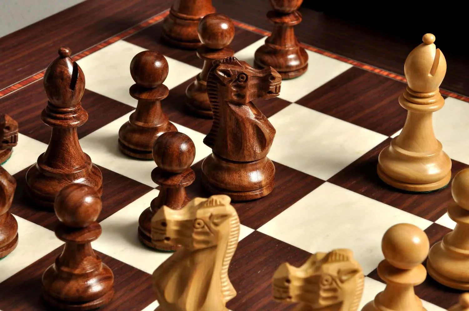 The Wild Knight Series Chess Set, Box, & Board Combination - Image 20
