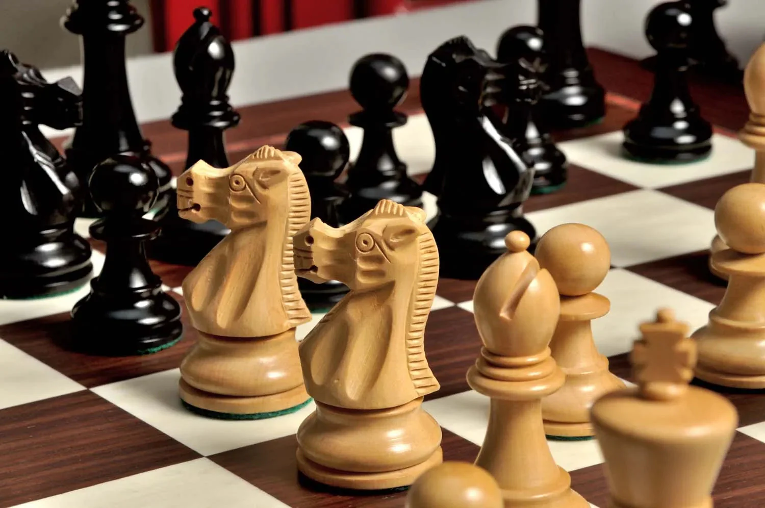 The Wild Knight Series Chess Set, Box, & Board Combination - Image 3
