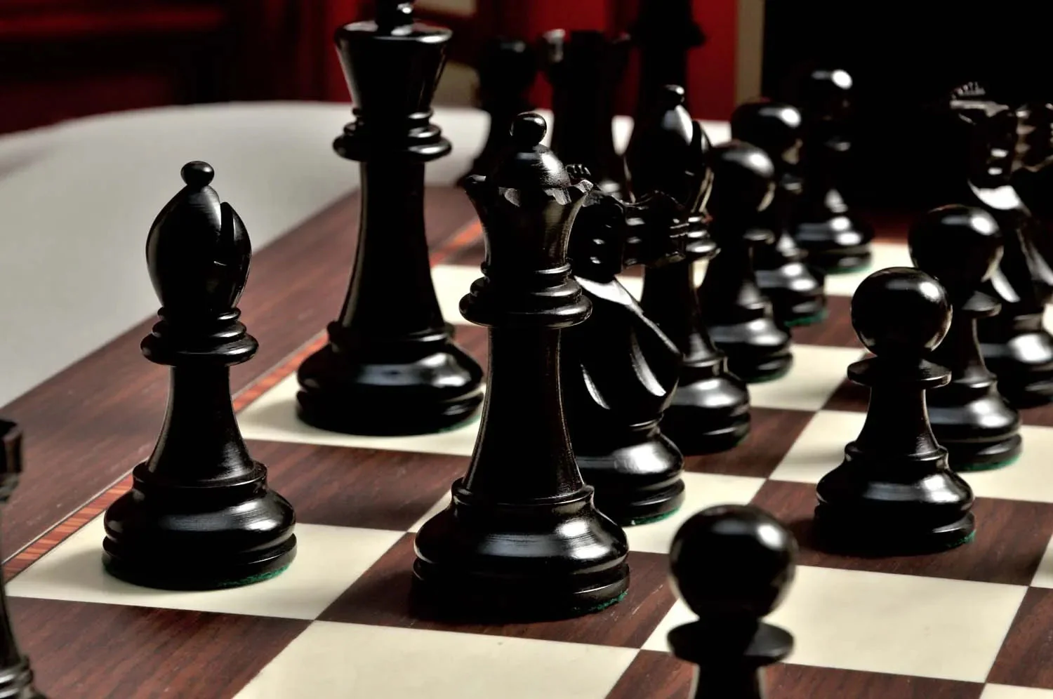 The Wild Knight Series Chess Set, Box, & Board Combination - Image 6