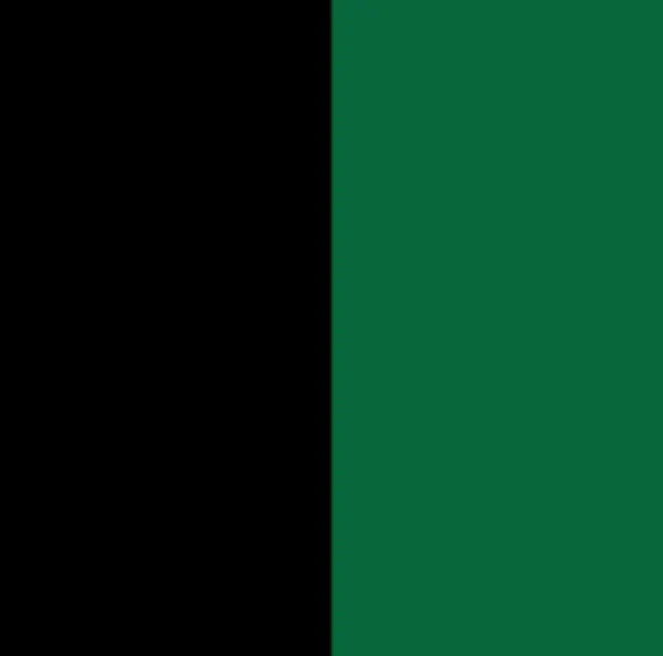 ZMart Fun II - BLACK/GREEN